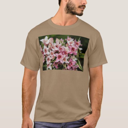 Variegated perennial weigelia tree in pink flowers T_Shirt