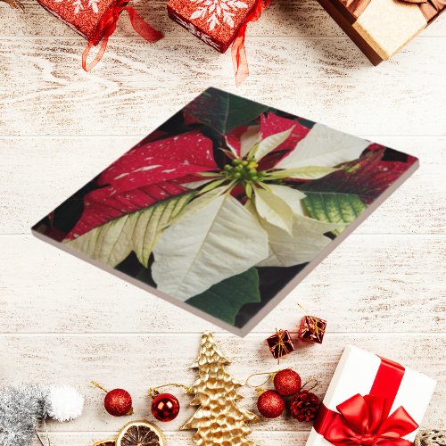 Variegated Poinsettia Floral Holiday Tile
