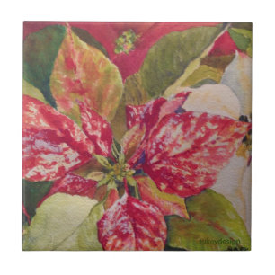Variegated Poinsettia Tile