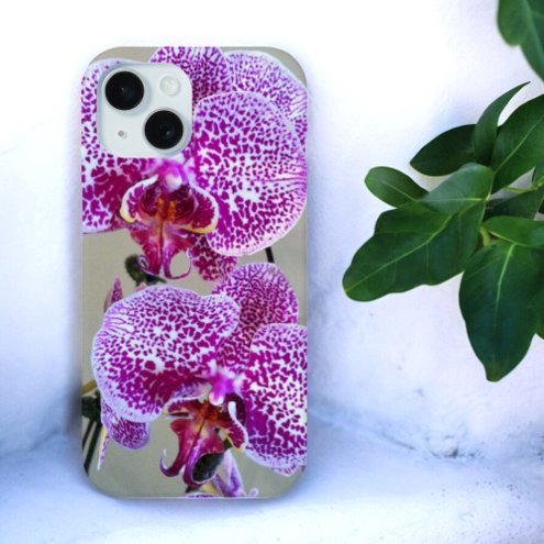 Variegated Purple Orchid Close-Up Photograph