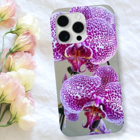 Variegated Purple Orchid Close-Up Photograph