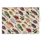 Varieties of Fish (Front Horizontal)