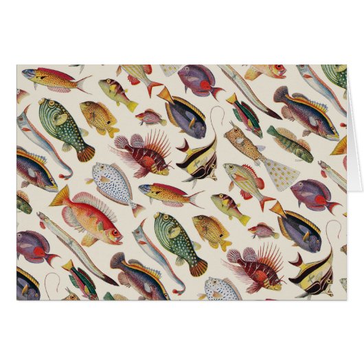 Varieties of Fish Cards (Front Horizontal)