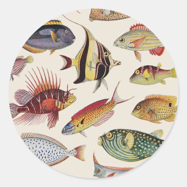 Varieties of Fish Classic Round Sticker (Front)