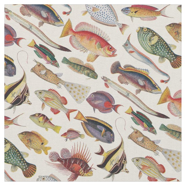 Varieties of Fish Fabric (Close Up)