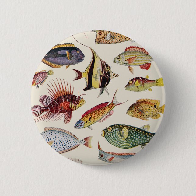 Varieties of Fish Pinback Button (Front)