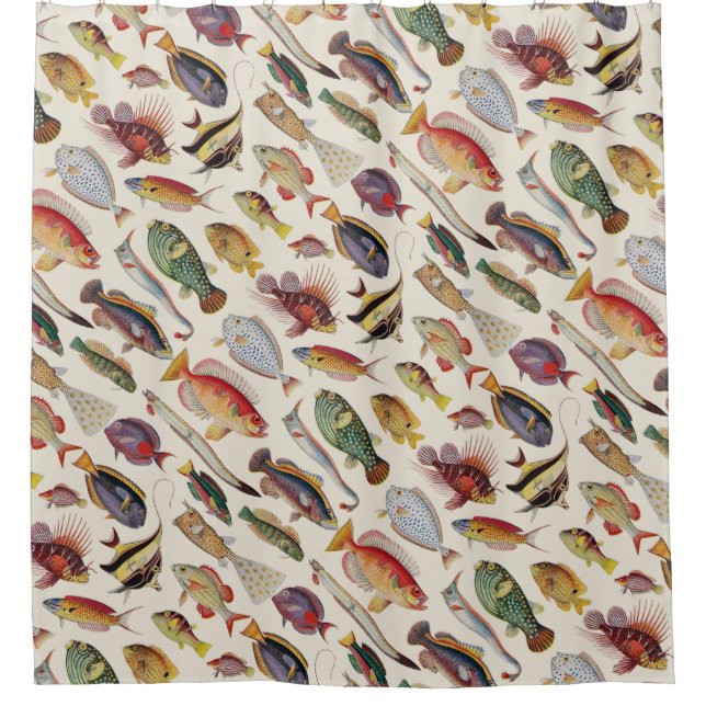 Varieties of Fish Shower Curtain (Front)