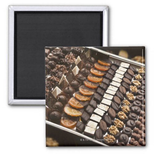 Variety of Artisanal Chocolate Pralines Magnet