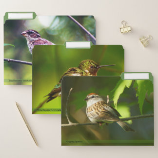 Variety Of Birds File Folders Set #5