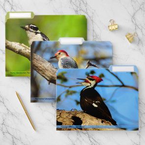 Variety Of Birds File Folders Set #6