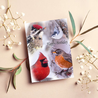 Variety Of Birds Happy Birthday Card