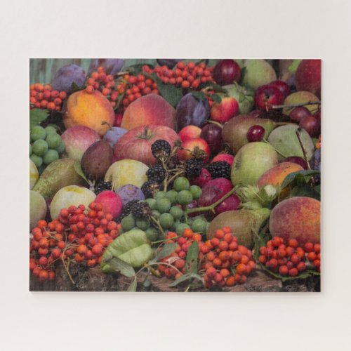 Variety of Fruits Jigsaw Puzzle
