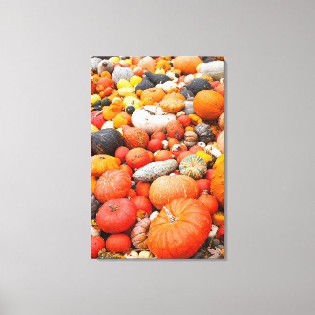 Variety of squash for sale, Germany Canvas Print (Front)