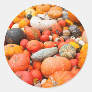 Variety of squash for sale, Germany Classic Round Sticker