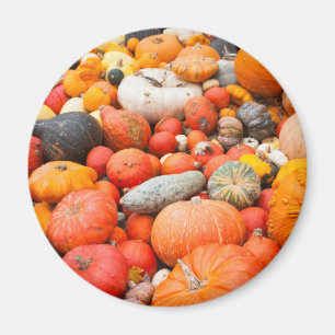 Variety of squash for sale, Germany Magnet