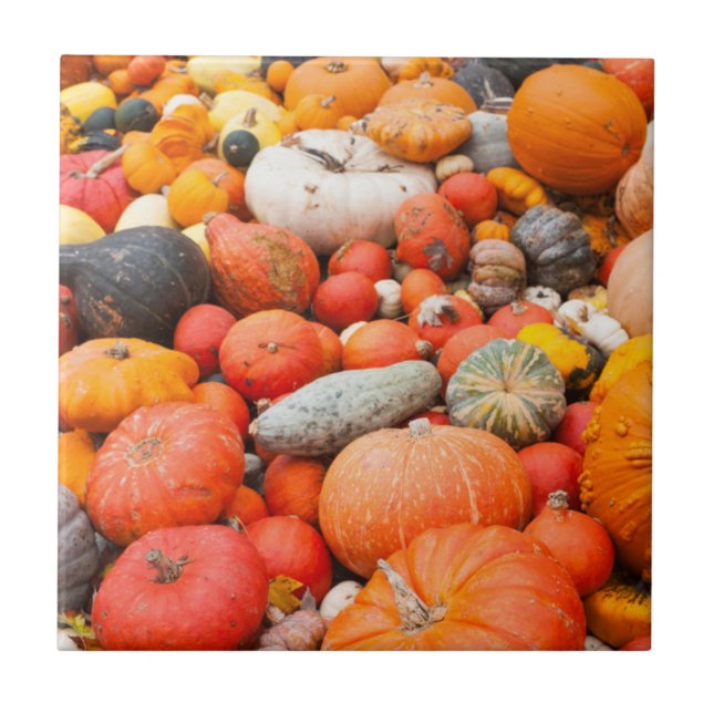 Variety of squash for sale, Germany Tile (Front)