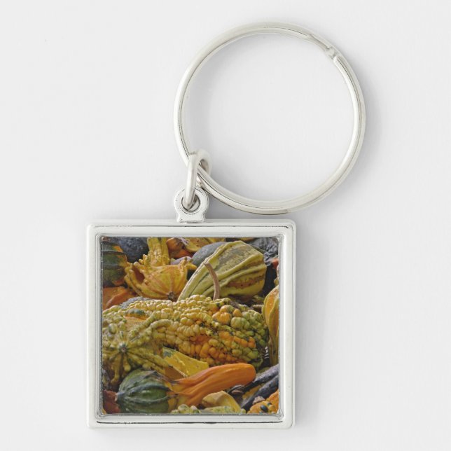 Variety of squash keychain (Front)