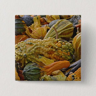 Variety of squash pinback button