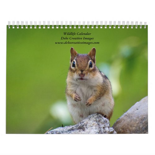 Variety of Wildlife 2025 Calendar