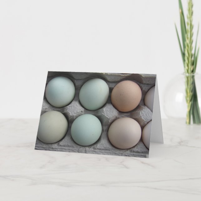 Variety Pack Card (Front)