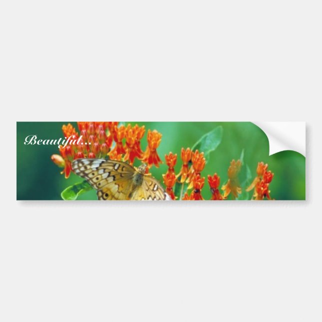 Varigated fritillary on Butterfly weed Bumper Sticker (Front)