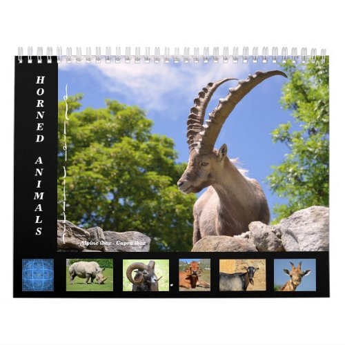 Various animals 12 month calendar