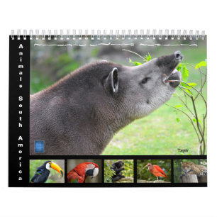 Various animals of South America 12 month Calendar