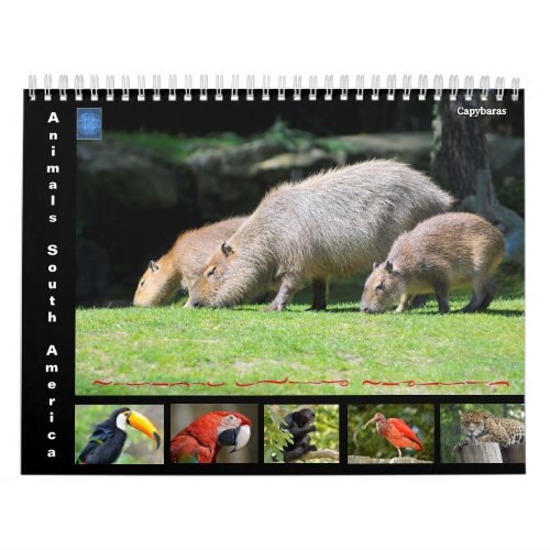 Various animals of South America 12 month Calendar