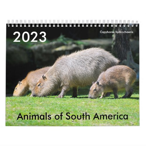 Various animals of South America Calendar