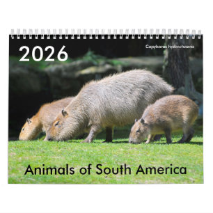 Various animals of South America Calendar