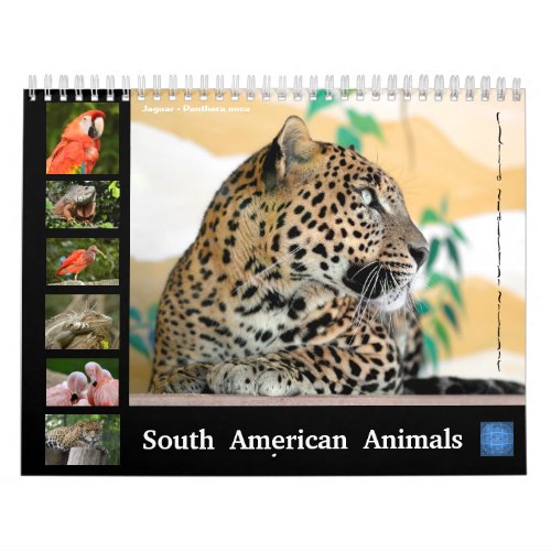 Various animals of South America Calendar