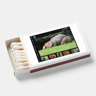 Various animals of South America Matchboxes