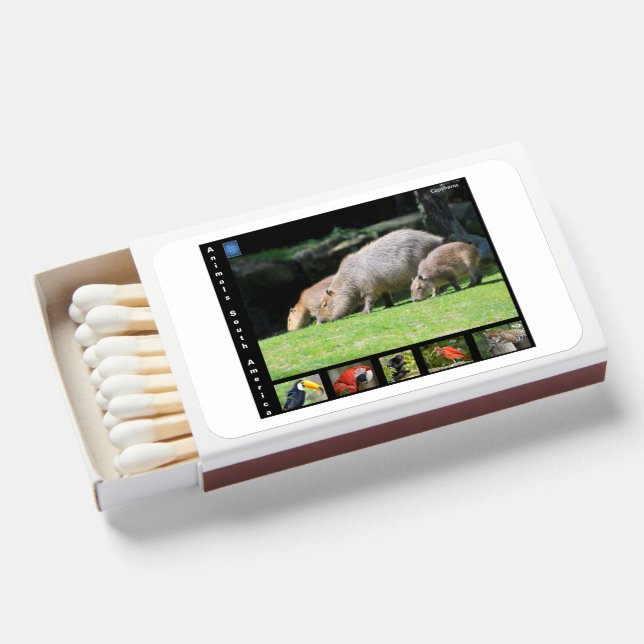 Various animals of South America Matchboxes (Front Open)