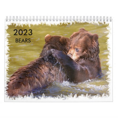 Various bears calendar