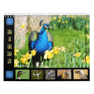 Various birds 12 month calendar