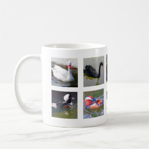 Various Birds Collage #1 Mug