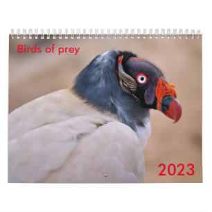 Various birds of prey calendar