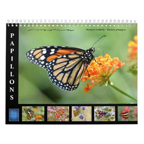 Various butterflies 12 month calendar