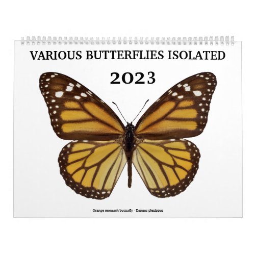 Various butterflies 2023 calendar