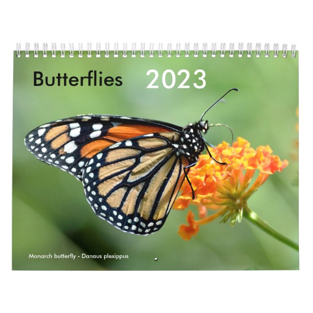 Various butterflies calendar (Cover)