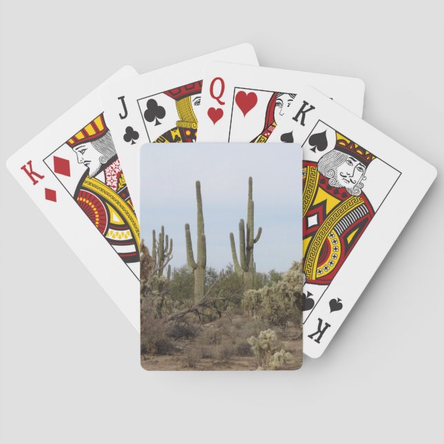 Various Cacti Poker Cards (Back)