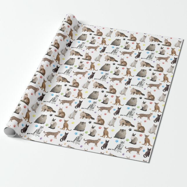 Various Cats Pattern Wrapping Paper (Unrolled)