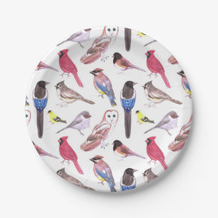Various colorful birds watercolor painting paper plates