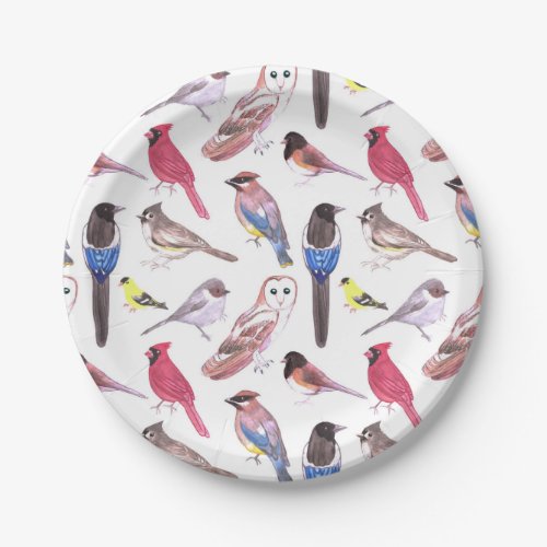 Various colorful birds watercolor painting paper plates
