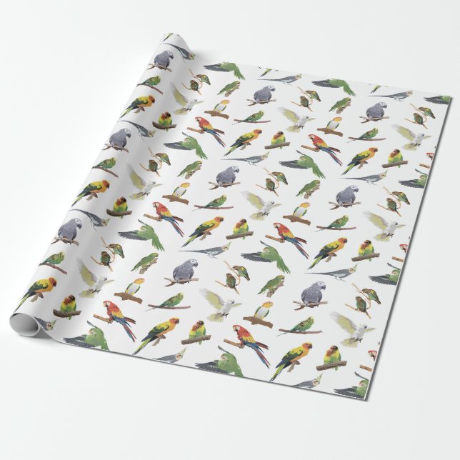 Various Colorful Parrots Wrapping Paper (Unrolled)