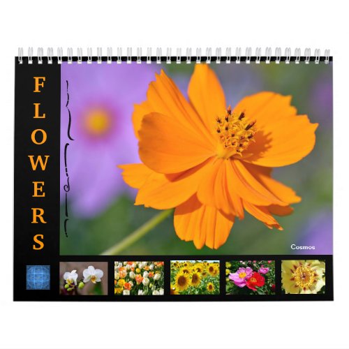 Various flowers 12 month calendar