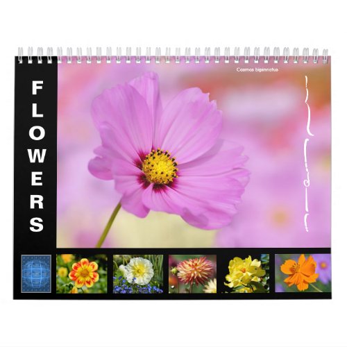 Various flowers 12 month calendar