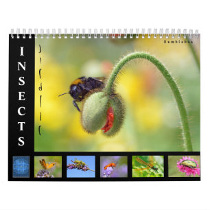 Various insects 12 month calendar