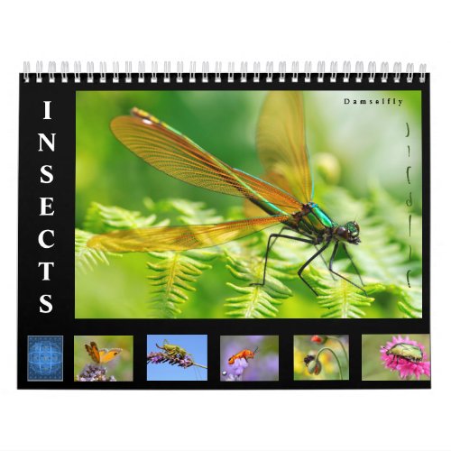 Various insects 12 month calendar