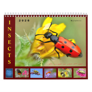 Various insects 12 month calendar